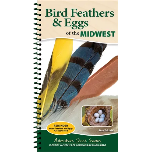 Bird Feathers & Eggs of the Midwest: Identify 40 Species of Common Backyard Birds