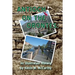 Antioch on the Orontes: An Illustrated History