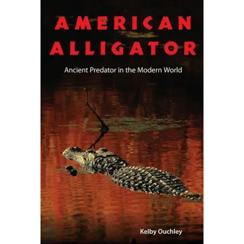 American Alligator: Ancient Predator in the Modern World