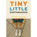 Tiny Little Earthquakes