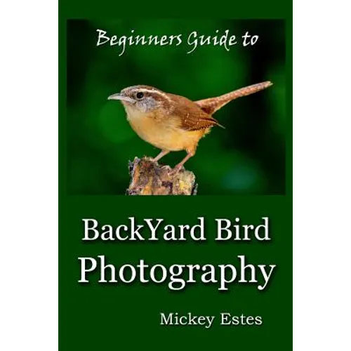 Beginners Guide To Backyard Bird Photography