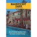 Magnificent Oasis