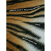 How to Cast a Beautiful Animal