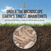 Under the Microscope: Earth's Tiniest Inhabitants - Soil Science for Kids Children's Earth Sciences Books