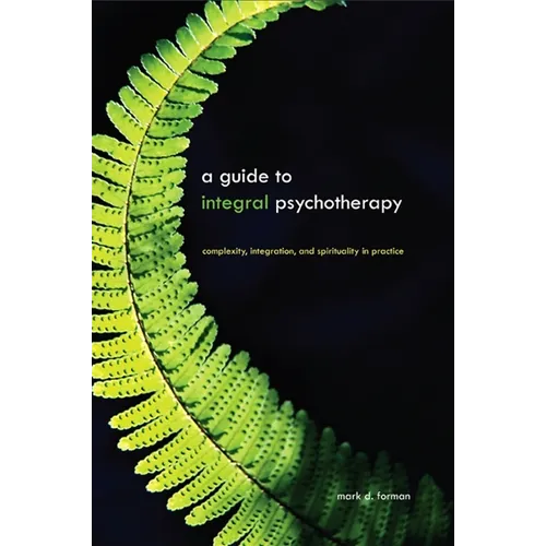 A Guide to Integral Psychotherapy: Complexity, Integration, and Spirituality in Practice