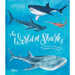 The World of Sharks: Get to Know the Fascinating Creatures of the Oceans