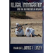 Illegal Immigration and the Destruction of America