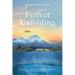 Perfect Unfolding: Seven Years of Life-Changing Solo Adventure, One Year That Broke Me Open