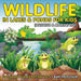 Wildlife in Lakes & Ponds for Kids (Aquatic & Marine Life) 2nd Grade Science Edition Vol 5