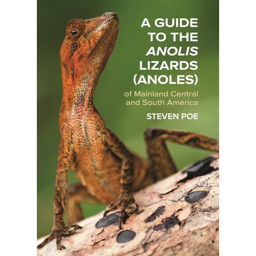 A Guide to the Anolis Lizards (Anoles) of Mainland Central and South America