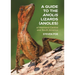 A Guide to the Anolis Lizards (Anoles) of Mainland Central and South America