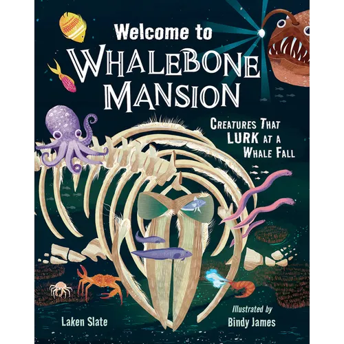 Welcome to Whalebone Mansion: Creatures That Lurk at a Whale Fall
