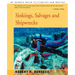 Sinkings, Salvages, and Shipwrecks