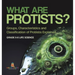 What are Protists? Groups, Characteristics and Classification of Protists Explained Grade 6-8 Life Science