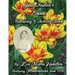 Jane Austen's Emma Colouring & Activity Book: Featuring Illustrations from 1896