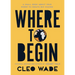 Where to Begin: A Small Book about Your Power to Create Big Change