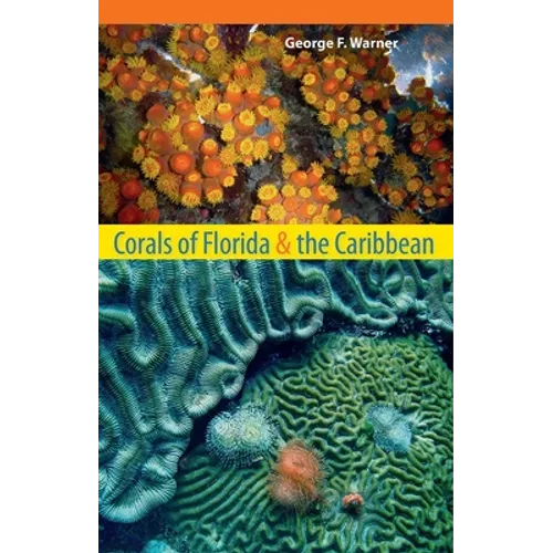 Corals of Florida and the Caribbean