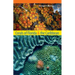 Corals of Florida and the Caribbean
