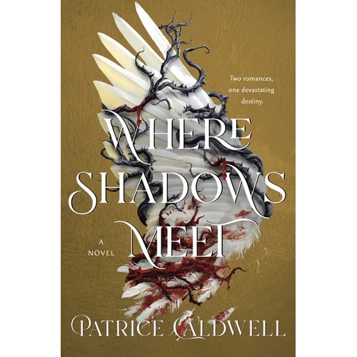 Where Shadows Meet