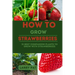 How to Grow Strawberries: 31 best companion plants to grow with strawberries