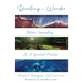 Dwelling in Wonder: Nature Journaling as a Spiritual Practice