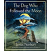 The Dog Who Followed the Moon
