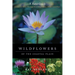 Wildflowers of the Coastal Plain: A Field Guide