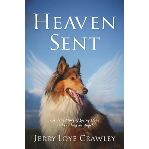 Heaven Sent: A True Story of Losing Hope and Finding an Angel