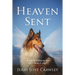 Heaven Sent: A True Story of Losing Hope and Finding an Angel