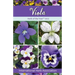 Viola: Herb of the Year(TM) 2022