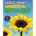 Large Print Wonderful Dot-To-Dot