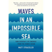Waves in an Impossible Sea: How Everyday Life Emerges from the Cosmic Ocean