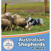 Australian Shepherds at Work