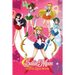 Sailor Moon: Trivia Quiz Book