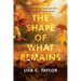 The Shape of What Remains