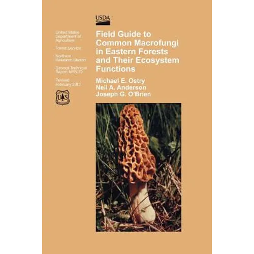 Field Guide to Common Macrofungi in Eastern Forests and Their Ecosystem Function