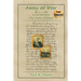 Away at War: A Civil War Story of the Family Left Behind