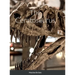 The Ceratosaurus (Hardcover Edition)