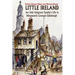 Little Ireland: An Irish Emigrant Family's Life in Nineteenth Century Edinburgh