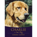 Charlie: A Love Story