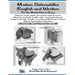 Modern Side Saddles, English and Western: For the Model Horse Arena