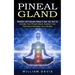Pineal Gland: Meditation With Hypnosis Method to Open Your Third Eye (Activate Your Pineal Gland, Awaken Your Third Eye & Develop Your Intuition)
