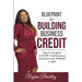 Blueprint to Building Business Credit: Step by step guide on how to build business credit