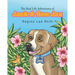 The Real Life Adventures of Jack-A-Bee Jax