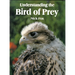 Understanding the Bird of Prey