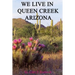 We Live In Queen Creek Arizona: If it were not for the Mafia we would most likely not have moved to Queen Creek