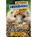 All Things Hedgehogs For Kids: Filled With Plenty of Facts, Photos, and Fun to Learn all About hedgehogs