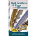 Bird Feathers & Eggs of the Northeast: Identify 40 Species of Common Backyard Birds