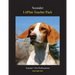 Litplan Teacher Pack: Sounder