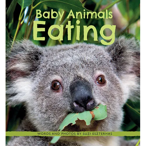 Baby Animals Eating